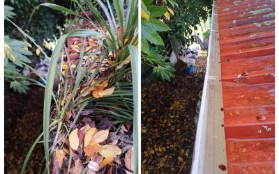 Protect Your Property: The Ultimate Guide to Gutter Cleaning