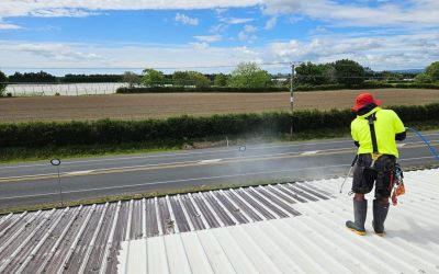 Protect Your Roof: Why Professional Roof Washing Is Essential for Longevity